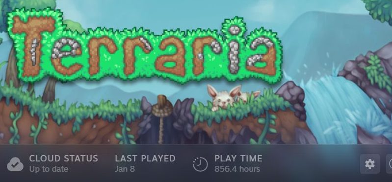 Terraria
Play time 856.4 hours.